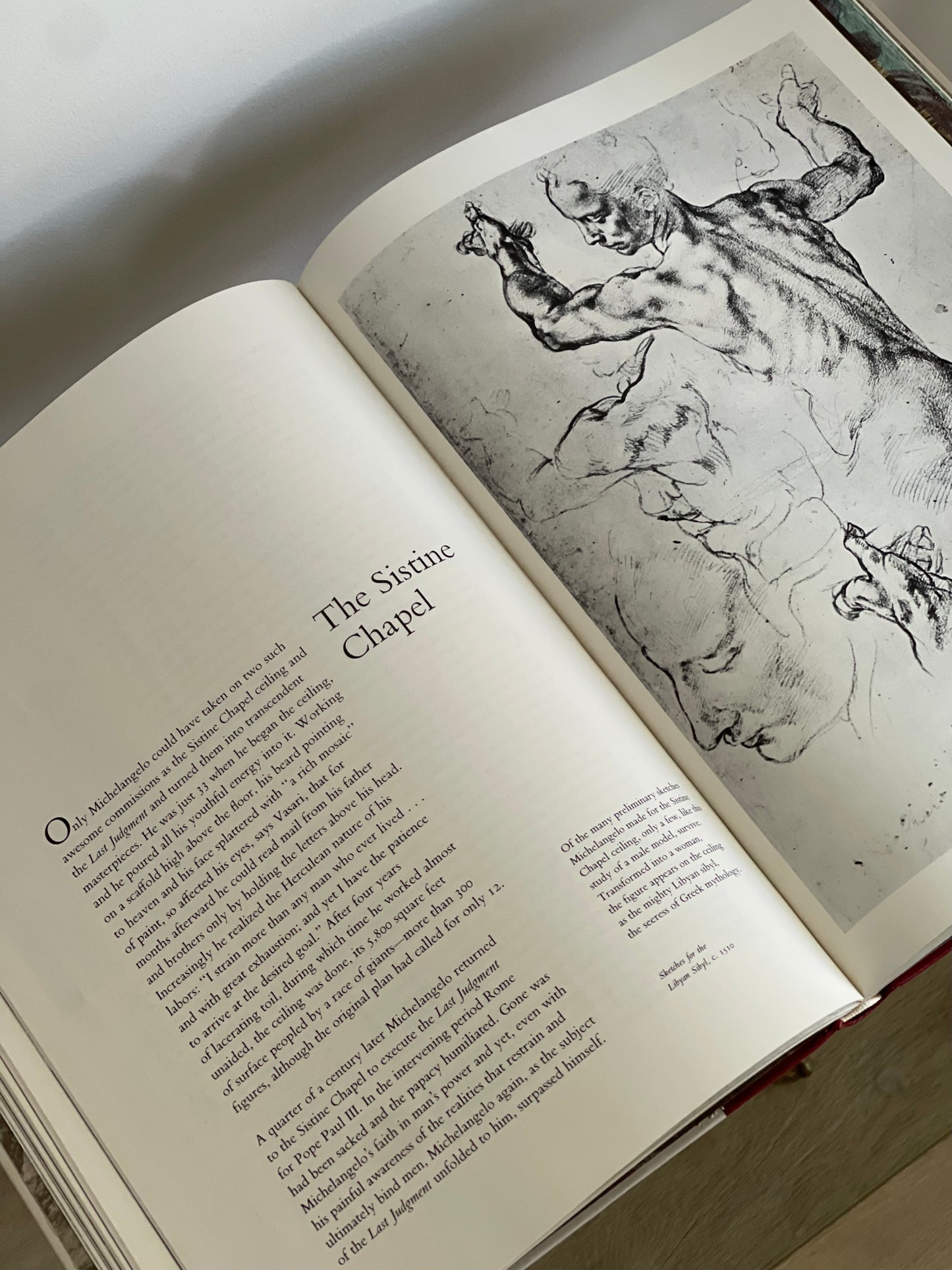 vintage coffee-table book | the world of michelangelo (1475-1564)